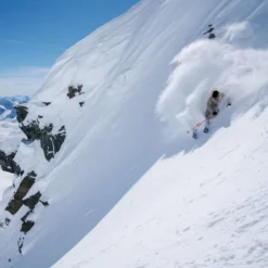 BLACK CROWS FEROX FREEBIRD 23 7 BLACK CROWS FEROX FREEBIRD 23 -Cheap Ski Gear 9 113687 ferox freebird 101655 04