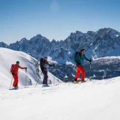 FISCHER TRANSALP 86 CARBON + DYNAFIT SPEED TURN BLUE -Cheap Ski Gear 9 76312 transalp 86 carbon a23020 03