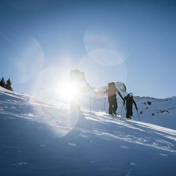 MOVEMENT AXESS 92 22 3 MOVEMENT AXESS 92 22 - Image 3