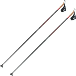 SWIX QUANTUM FOUR 22